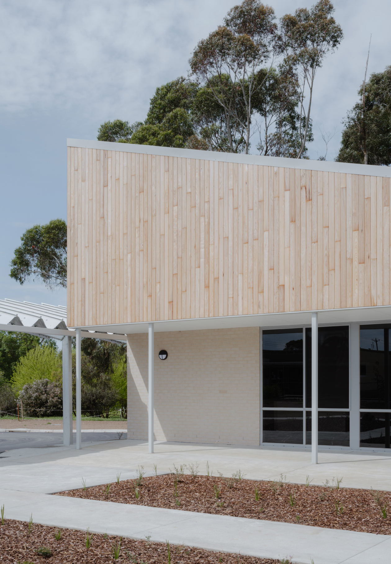 Hampden Specialist School by Project 12 Architecture