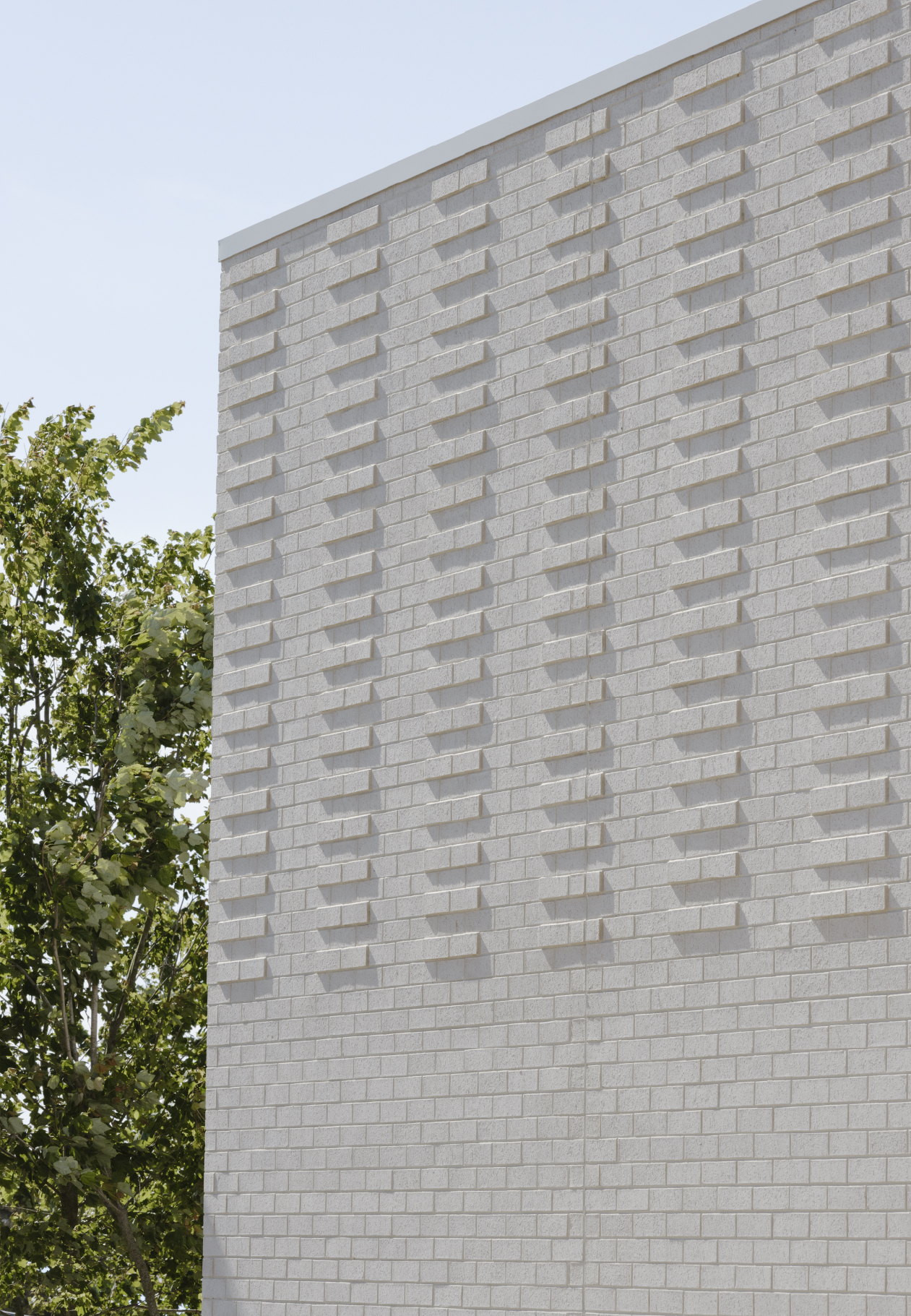 Peninsula Specialist College by Project 12 Architecture